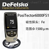 Positector6000FS1分體漆膜測厚儀